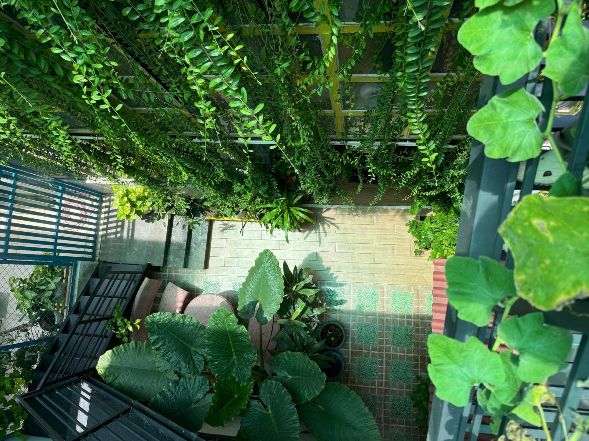 Vania House Hochiminh * TP. Hồ Chí Minh