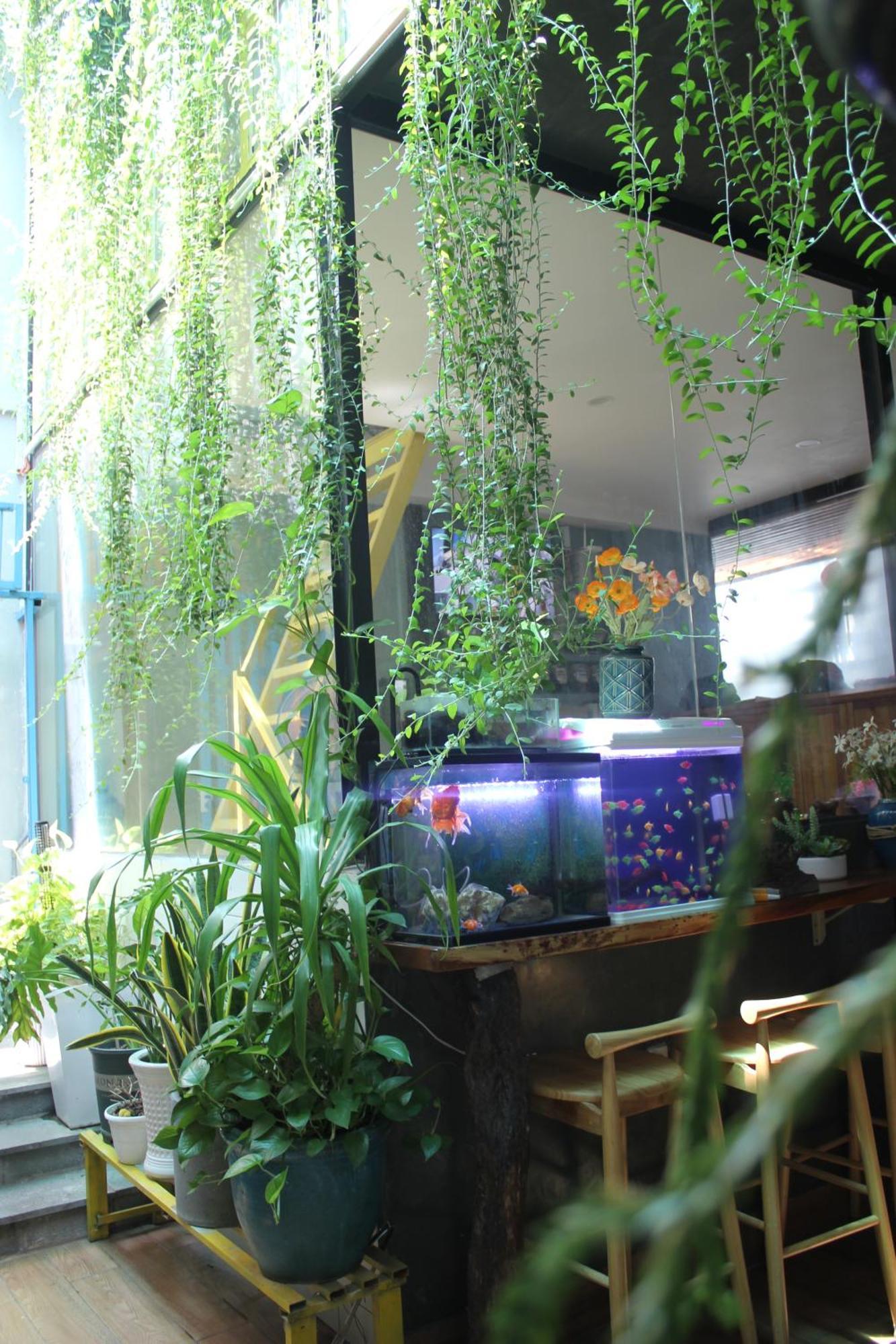 Căn hộ Vania House Hochiminh