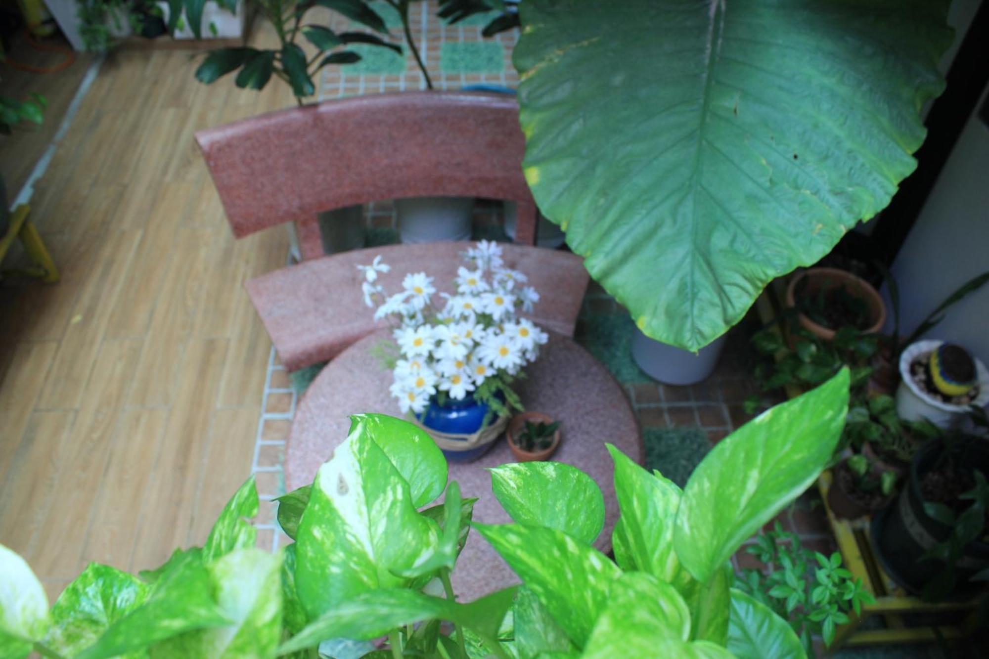 Vania House Hochiminh Căn hộ
